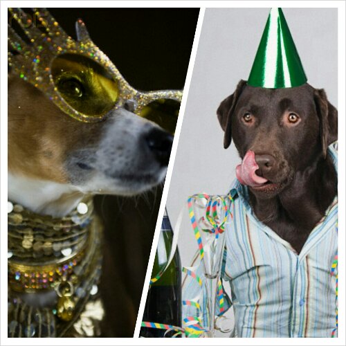 PhotoGrid_1375528586267.jpg image